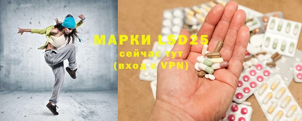 гидра Аркадак