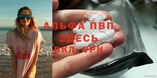 гидра Аркадак