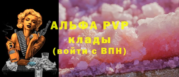 гидра Аркадак